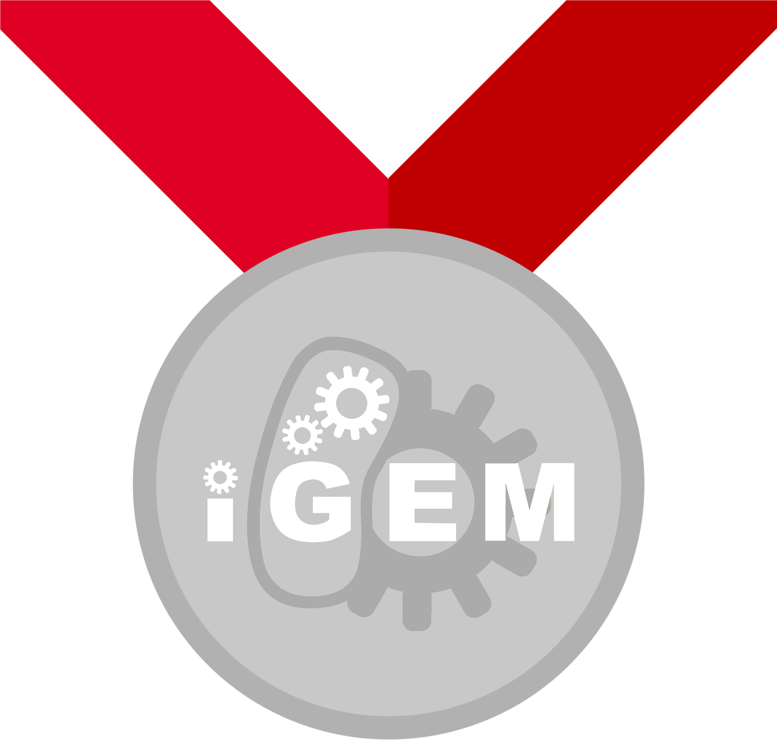 Silver Medal Requirements - Circle Clipart (2500x2500), Png Download