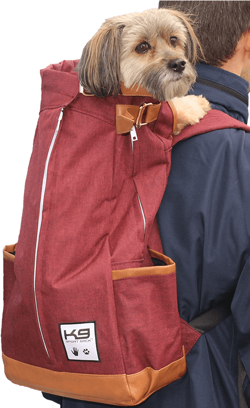 K9 Sport Sack® Urban - Companion Dog Clipart (600x833), Png Download