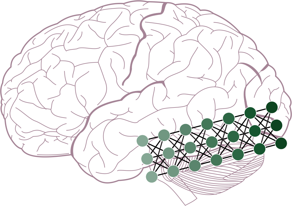 Figure 2b From Guest And Love - Lobes Of The Brain Clipart (1011x713), Png Download
