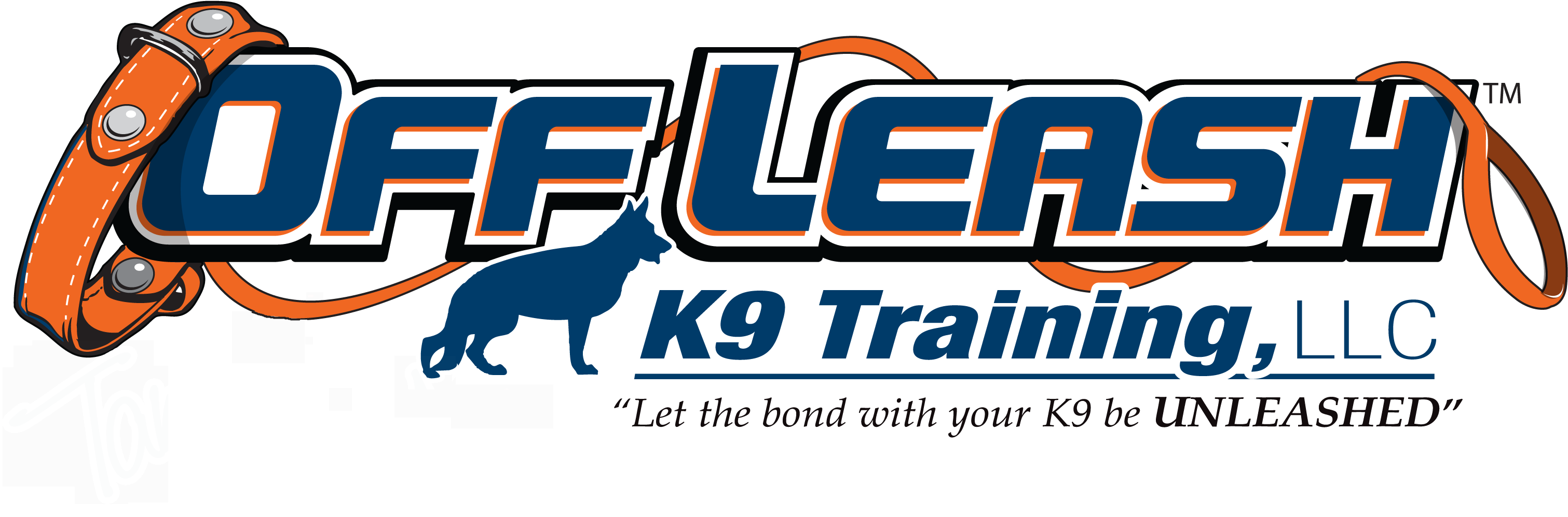 Dog Trainer Tri Cities - Off Leash K9 Training Clipart (3030x1006), Png Download