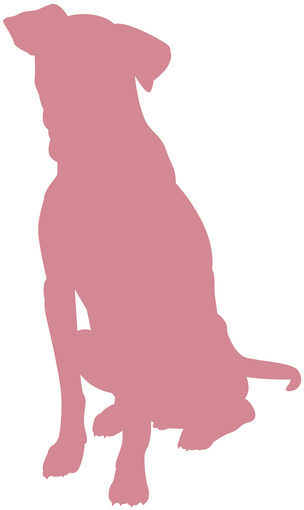 Top Dog Sf We've Gone To The Dogs - Pink Dog Transparent Clipart (800x800), Png Download