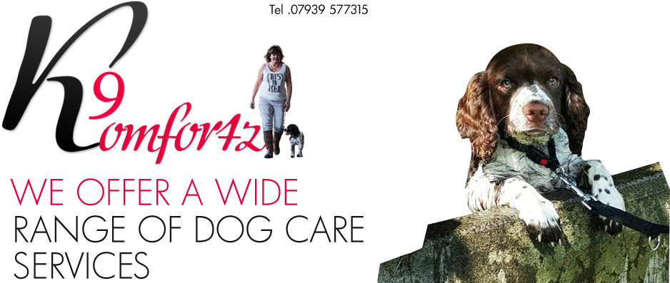 K9 Komfortz With Kim7 , Png Download - Cocker Spaniel Clipart (938x397), Png Download