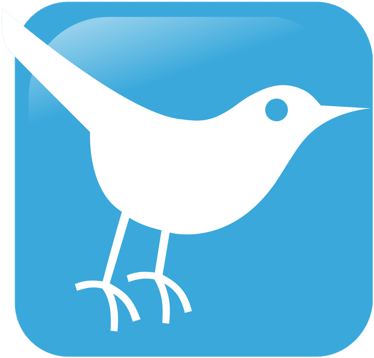 Twitter Blue Bird Icon - Social Media Clipart (768x768), Png Download