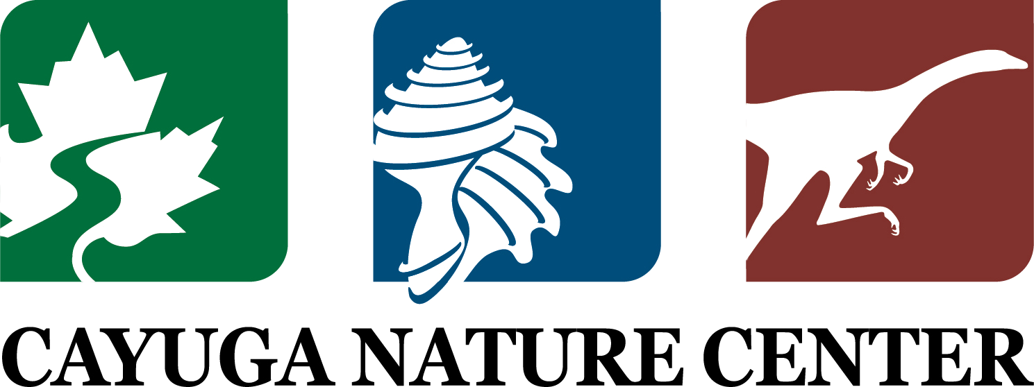 Cayuga Nature Center Logo Clipart (1489x558), Png Download