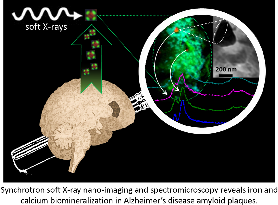 A Graphical Representation Of The Experiment - Graphic Design Clipart (1200x857), Png Download