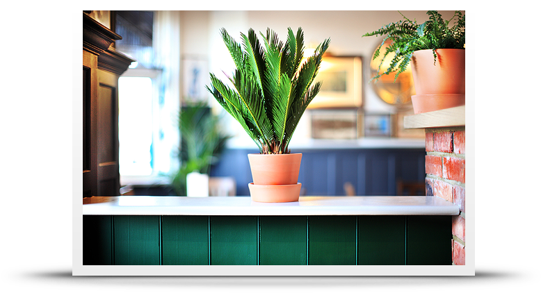 The Rose & Crown - Flowerpot Clipart (800x500), Png Download