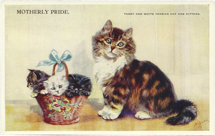 Kitten Clipart Mama Cat - Kitten - Png Download (855x855), Png Download