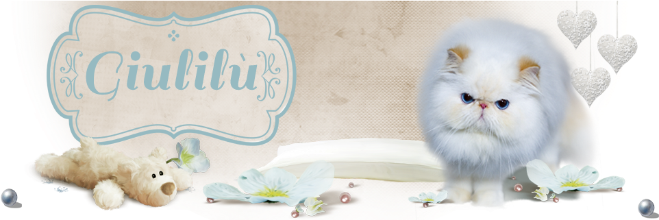 Giulilù Cattery - Persian Clipart (980x320), Png Download