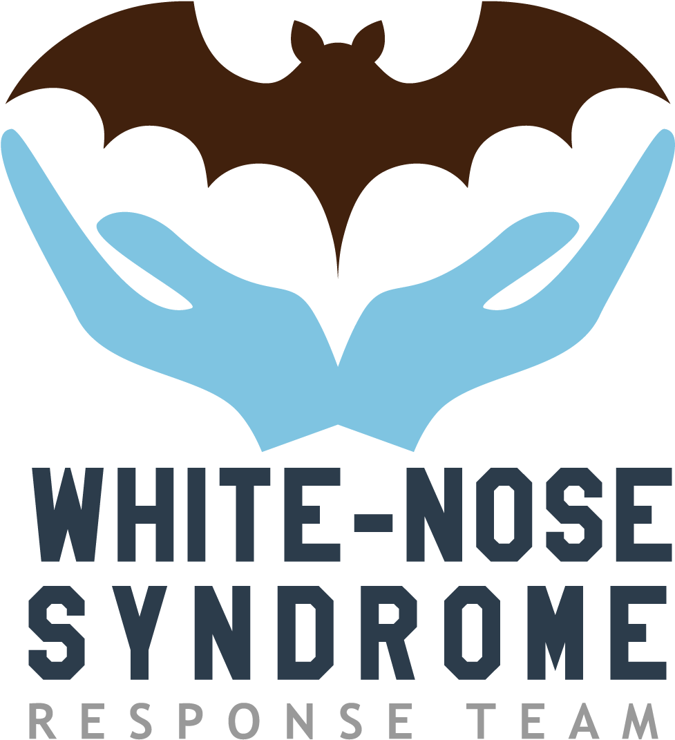 See Https - //www - Whitenosesyndrome - Org/static-page/our - Poster Clipart (1000x1117), Png Download