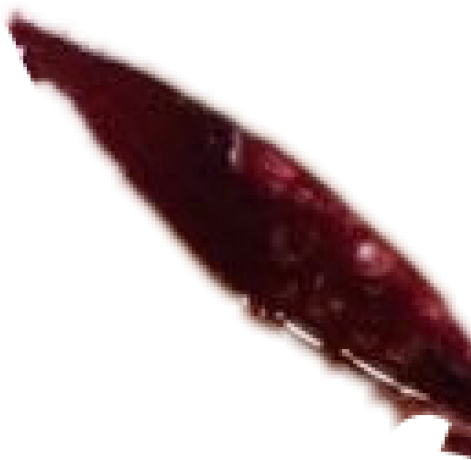 Scar Png Clipart (640x480), Png Download
