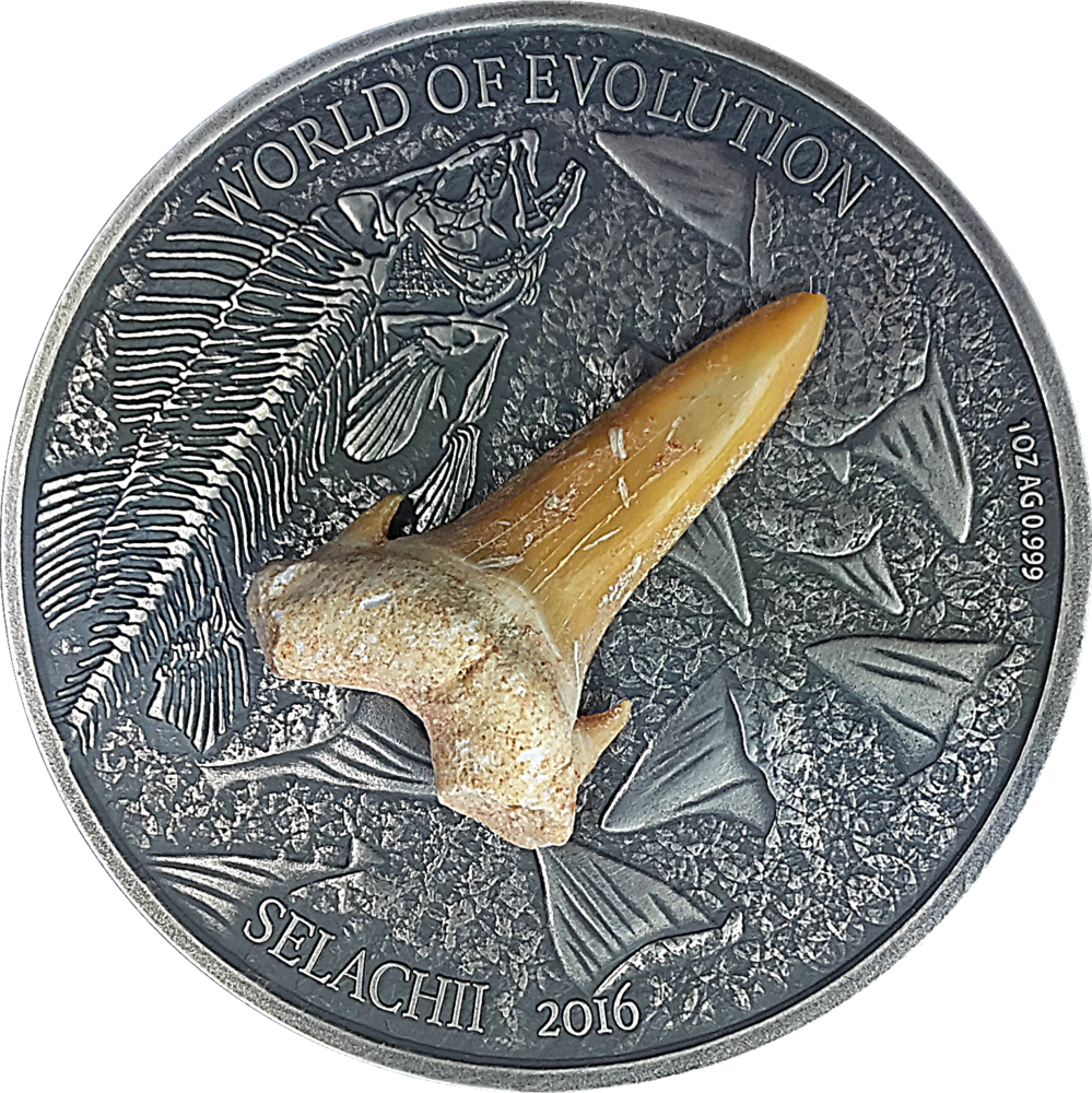 1,000 Frcs Cfa Burkina Faso - Coin Clipart (999x1000), Png Download