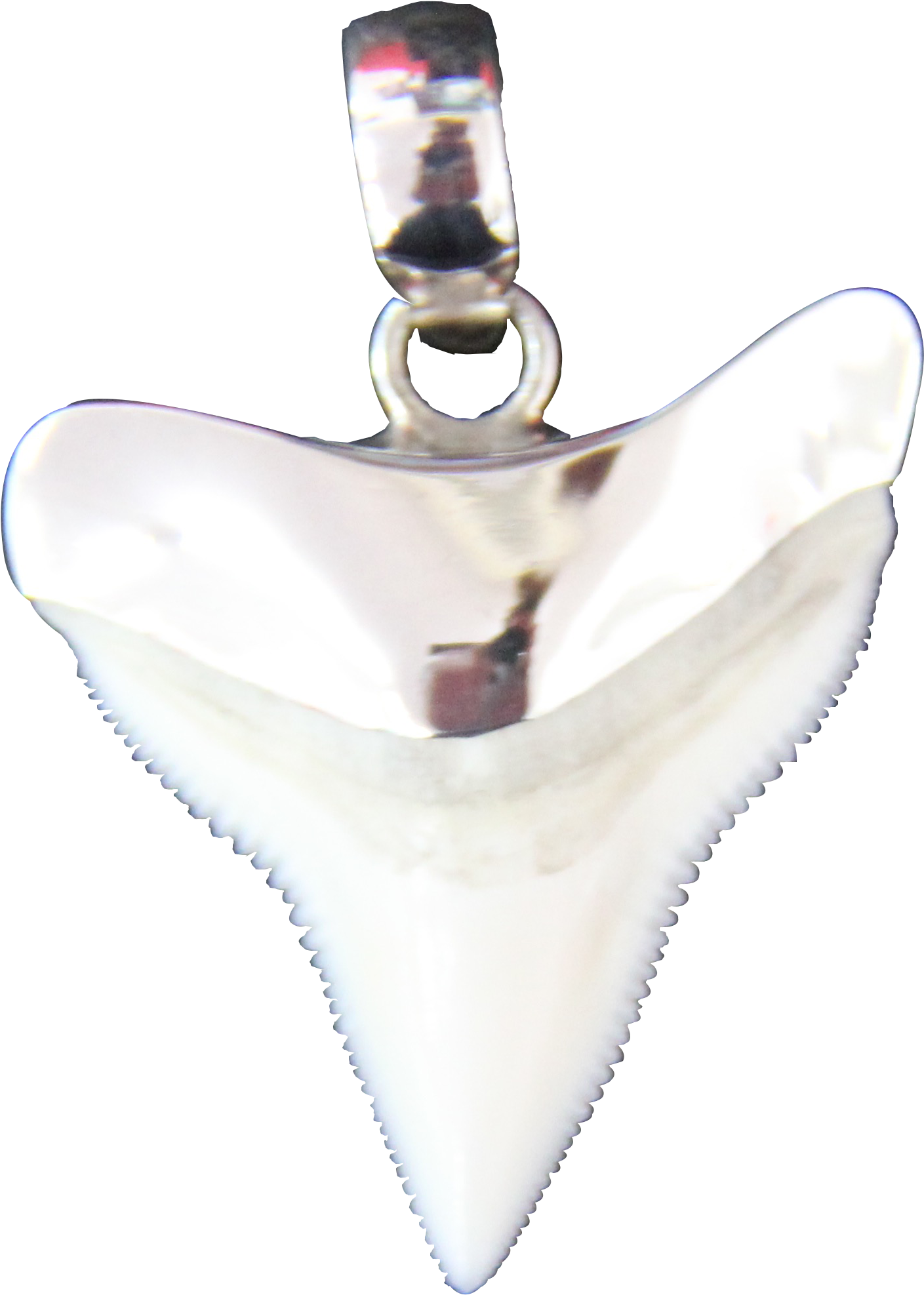 Shark Tooth - Pendant Clipart (4000x3000), Png Download