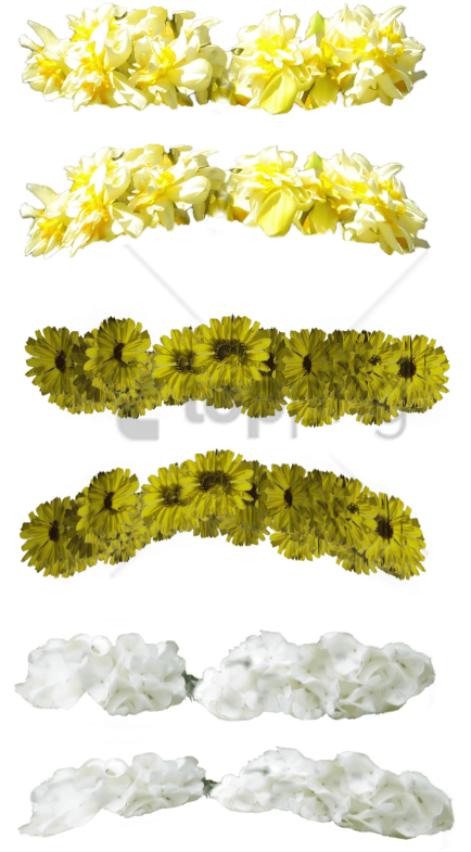 Free Png Yellow Flower Crown Transparent Png Image - Green And Yellow Flower Crown Clipart (480x811), Png Download