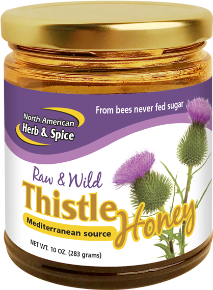 Wild Thistle Honey - Purple Coneflower Clipart (600x600), Png Download