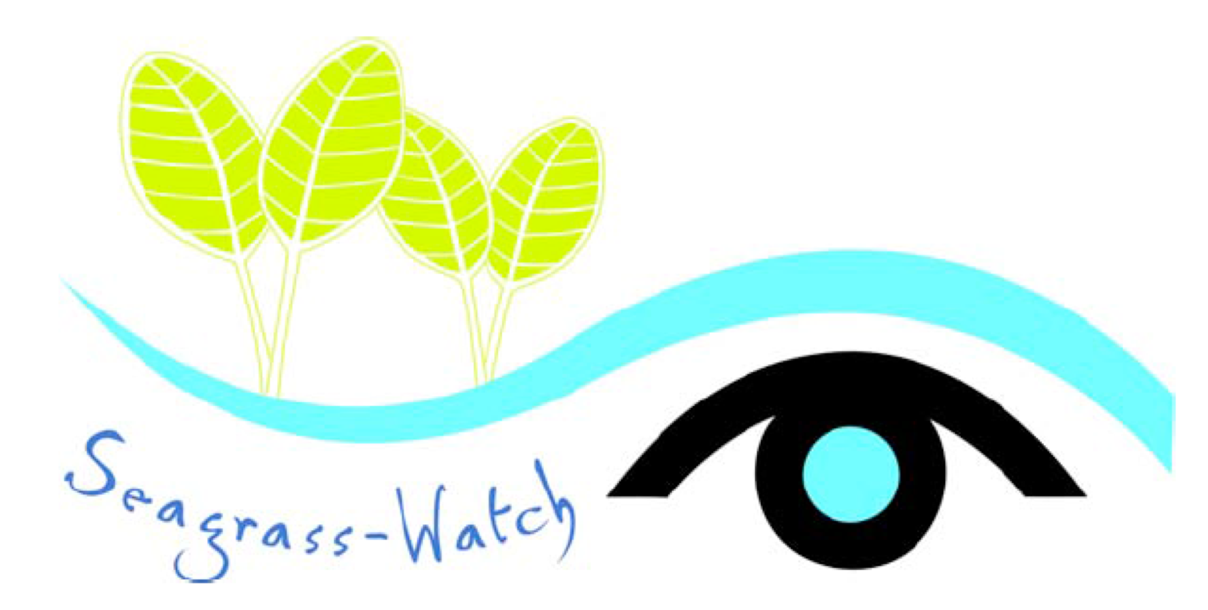 Graphic Design Clipart (4625x3444), Png Download