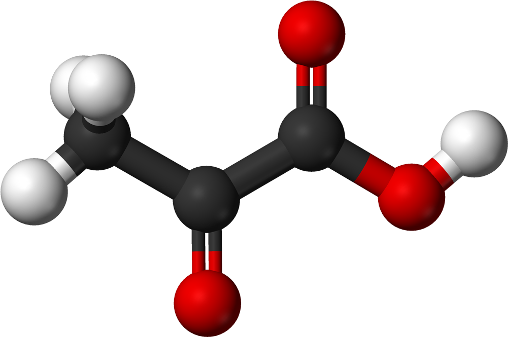 Archivo - Pyruvic Ac - Oxalate Ion In Guava Clipart (1100x764), Png Download