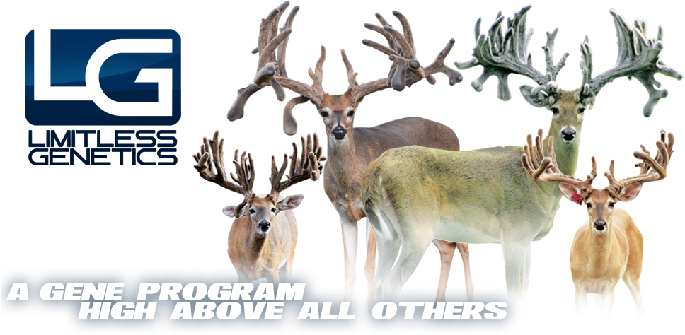Limitless Genetics - Elk Clipart (1000x486), Png Download