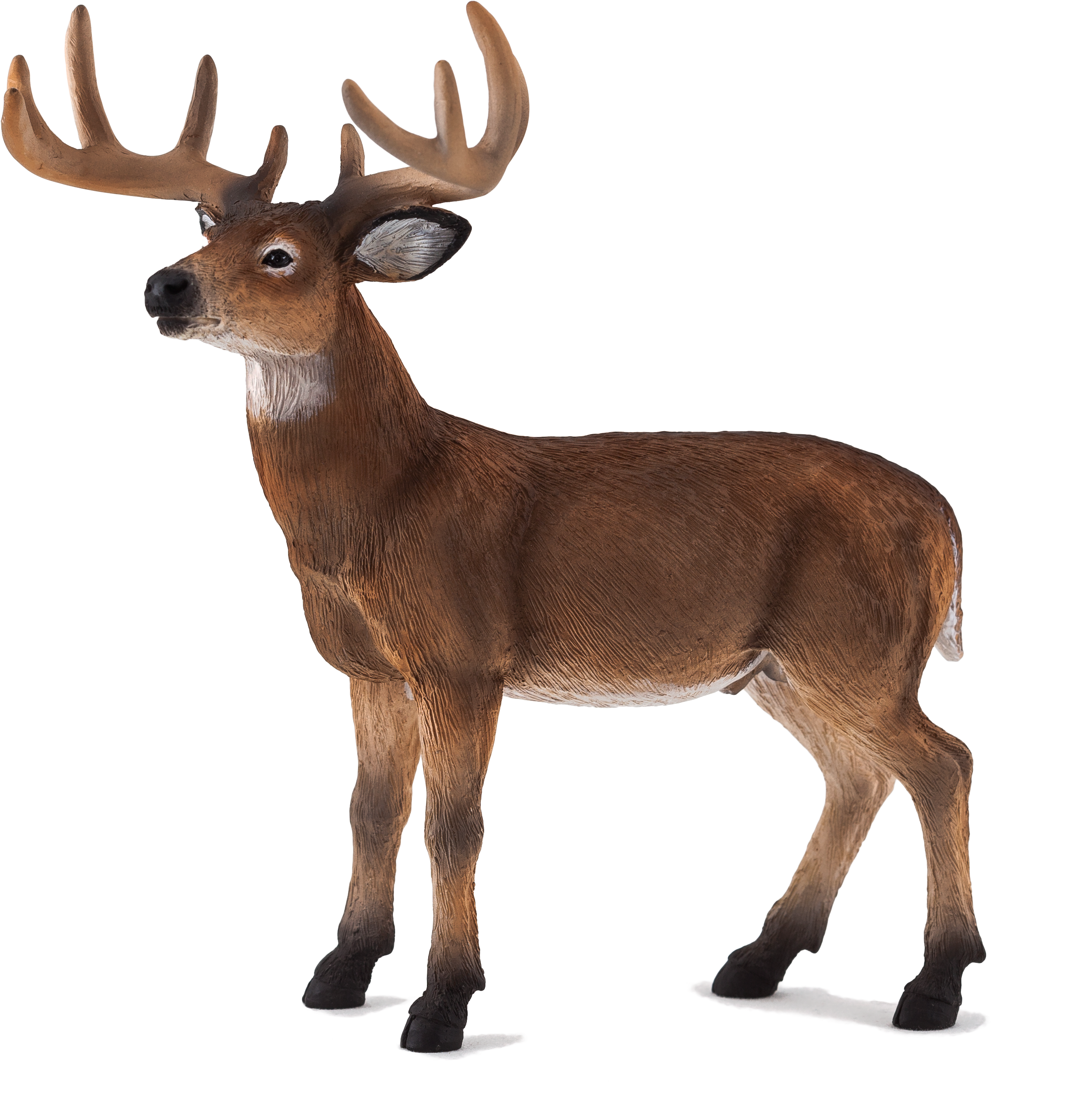 Mojo Fun White Tailed Deer Clipart (5218x3479), Png Download