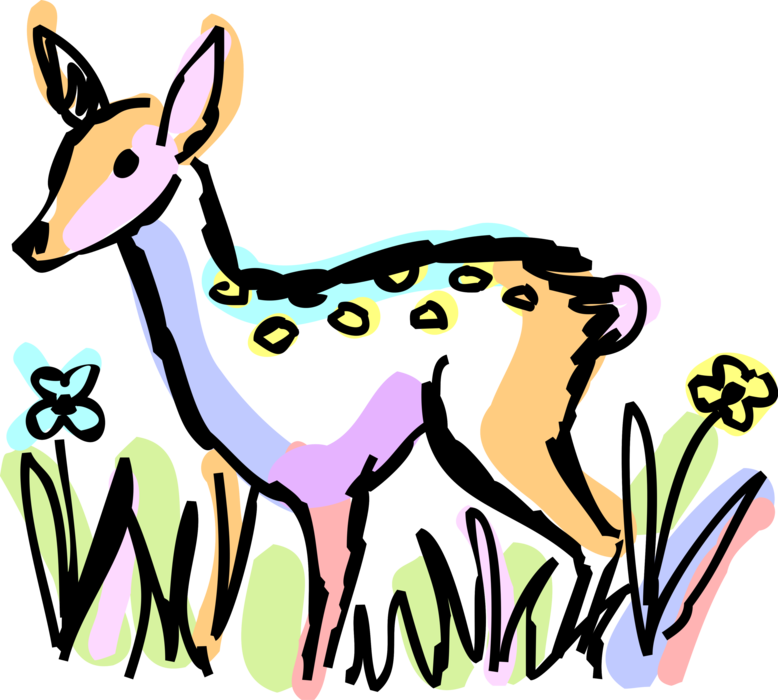Vector Illustration Of White-tailed Or Whitetail Deer Clipart (778x700), Png Download