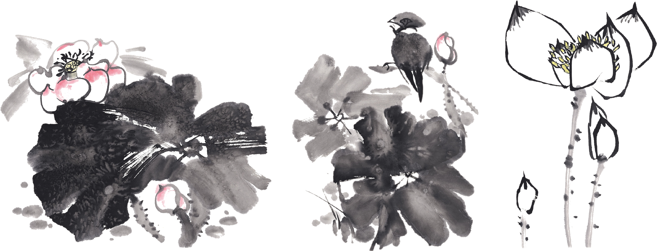 Drawing Apple Ink - 国画 水墨 荷花 Clipart (2396x1183), Png Download