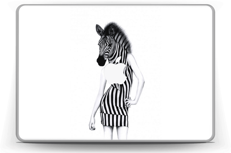Party Zebra Skin Macbook Pro 13” - Cartoon Clipart (800x559), Png Download