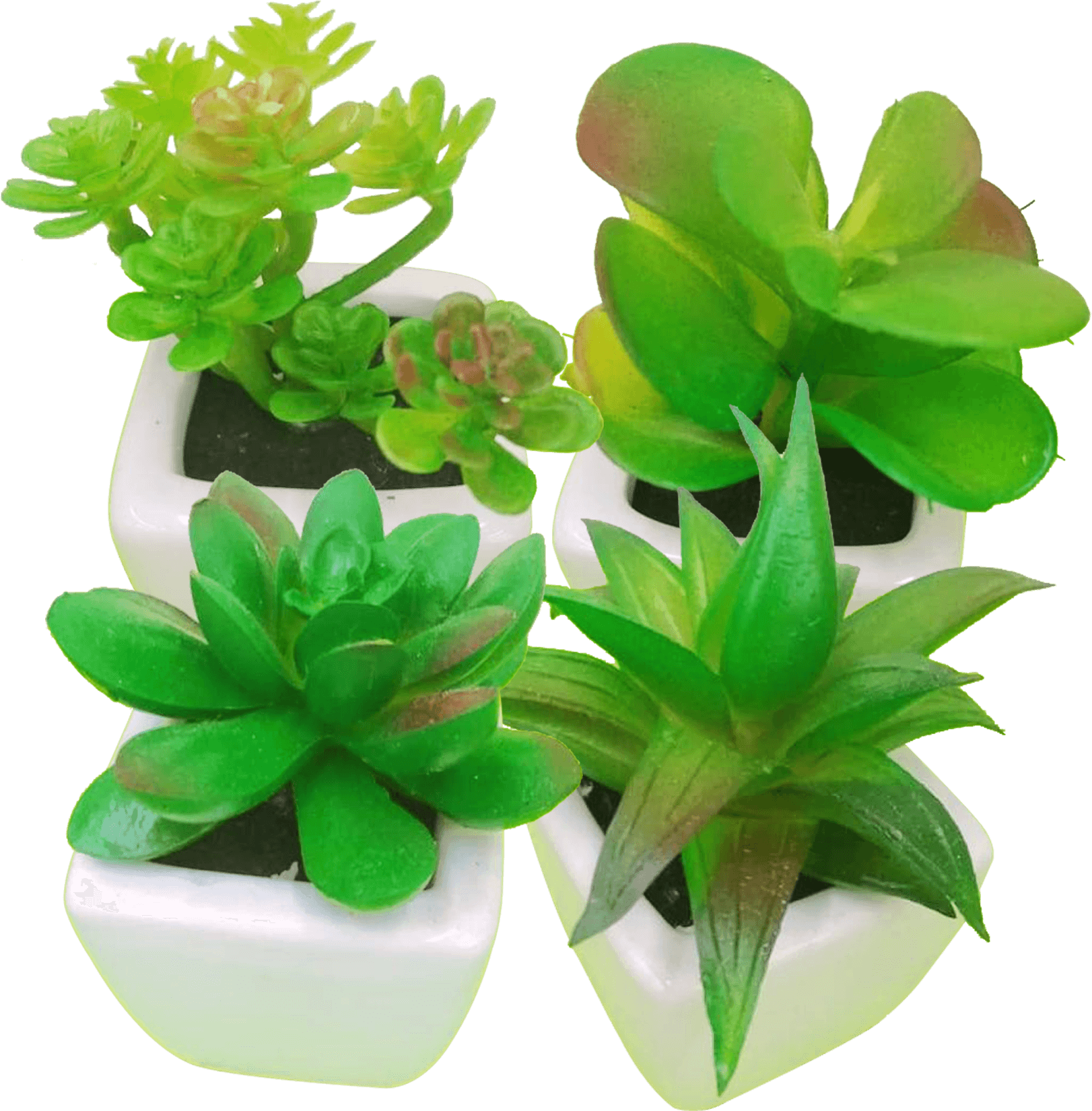 Cactus Flower - Flowerpot Clipart (1622x1650), Png Download