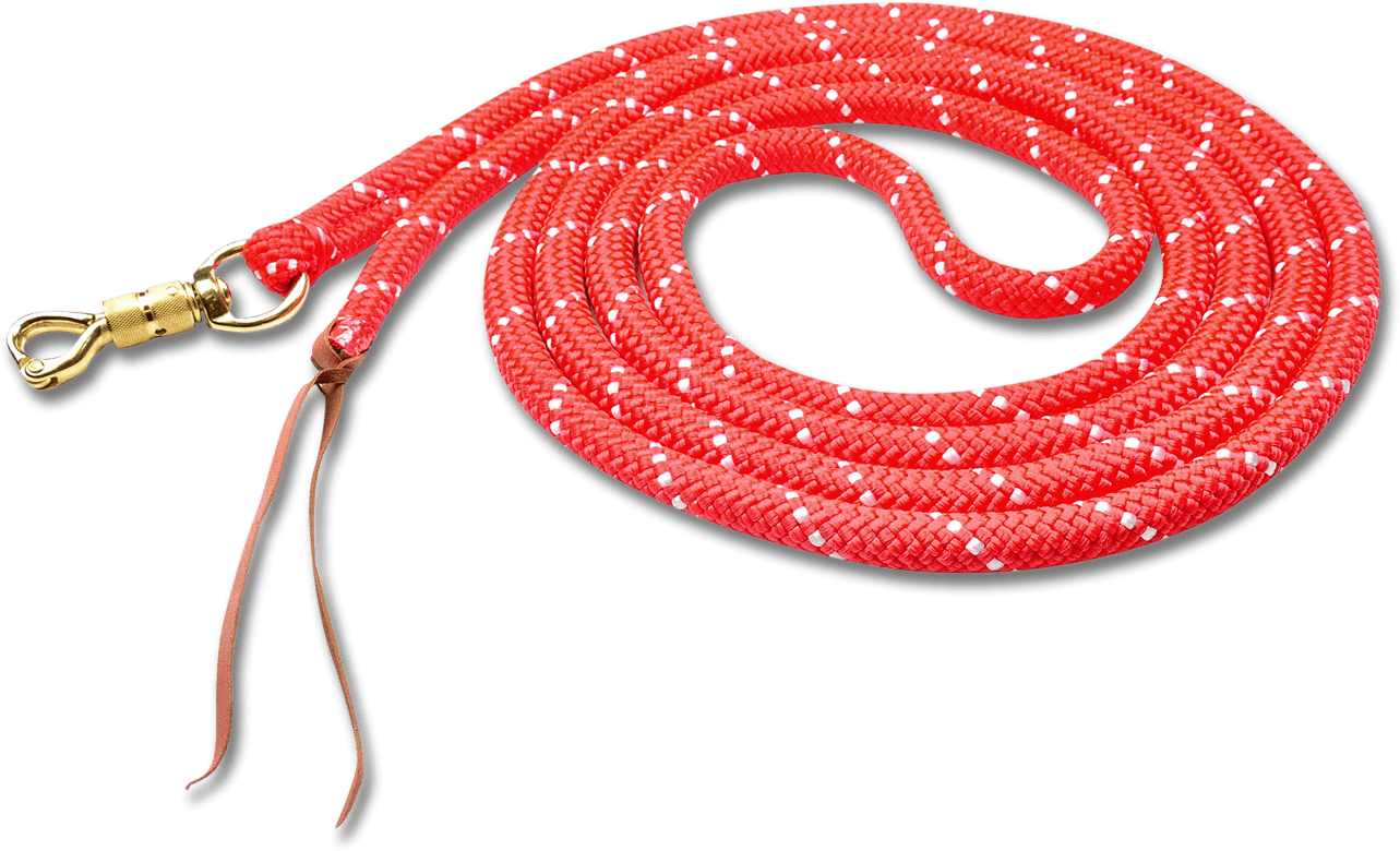 Horsemanship Vodítko Clipart (1400x1600), Png Download