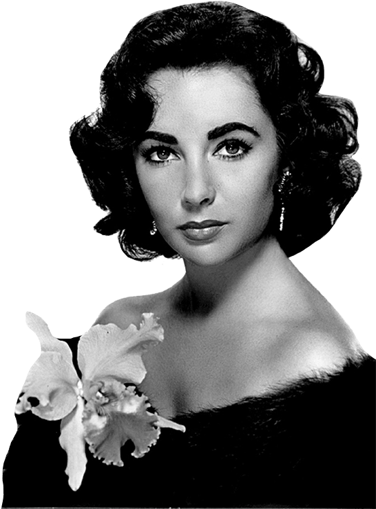 Download - Elizabeth Taylor Clipart (750x750), Png Download