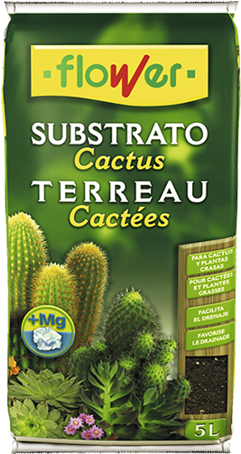 Sustrato Bonsais Flower Clipart (600x600), Png Download