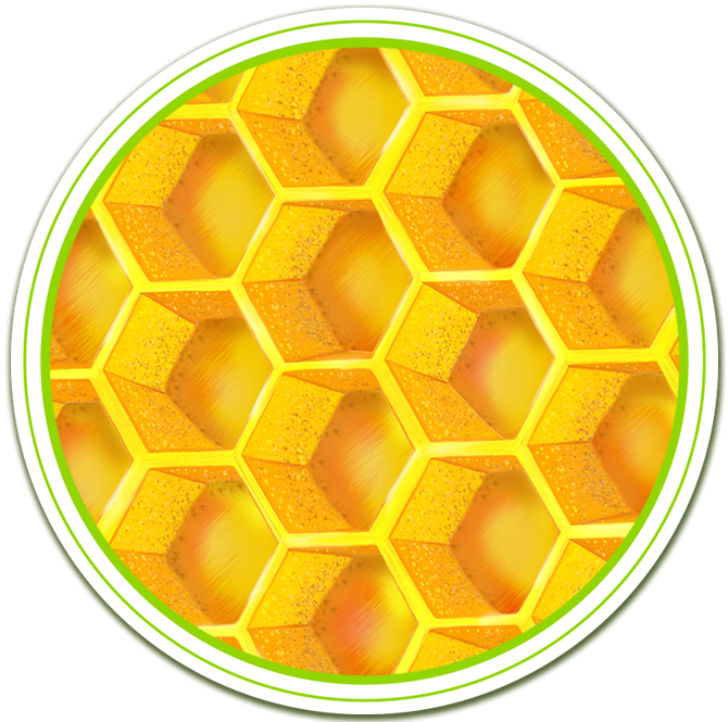 Seuss's My Many Colored Days Yellow Day Honeycomb Production - Honeycomb Clipart (670x665), Png Download