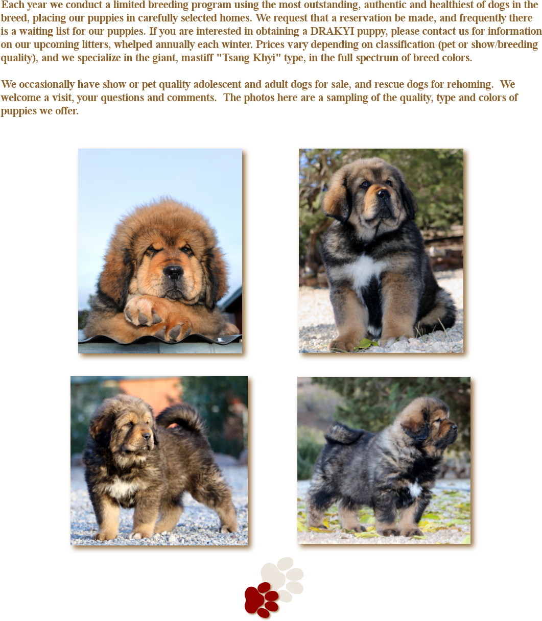 Ancient Dog Breeds Clipart (1093x1246), Png Download