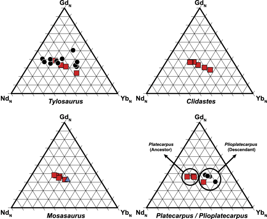 Ternary Diagrams Of Normalised Ree Ratios For Tylosaurus, - Triangle Clipart (850x699), Png Download