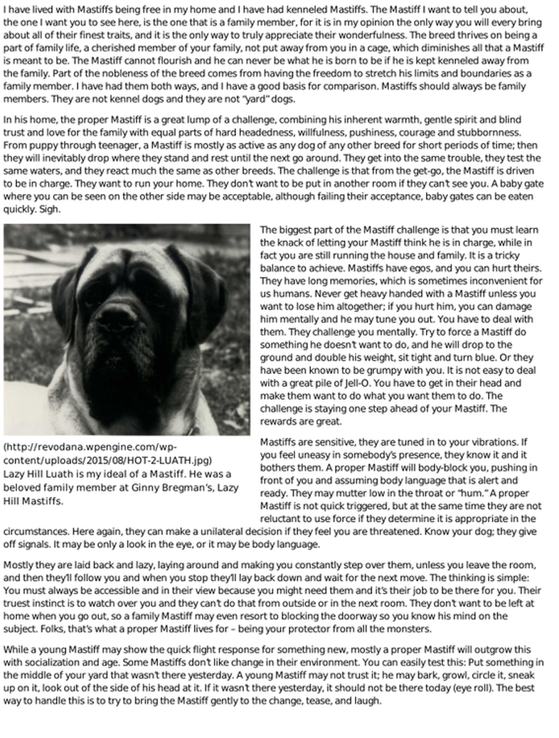 Picture - Boxer Clipart (857x1110), Png Download