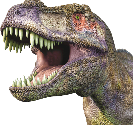 Tyrannosaurus Huge Head - Transparent Dinosaur Head Clipart (915x515), Png Download