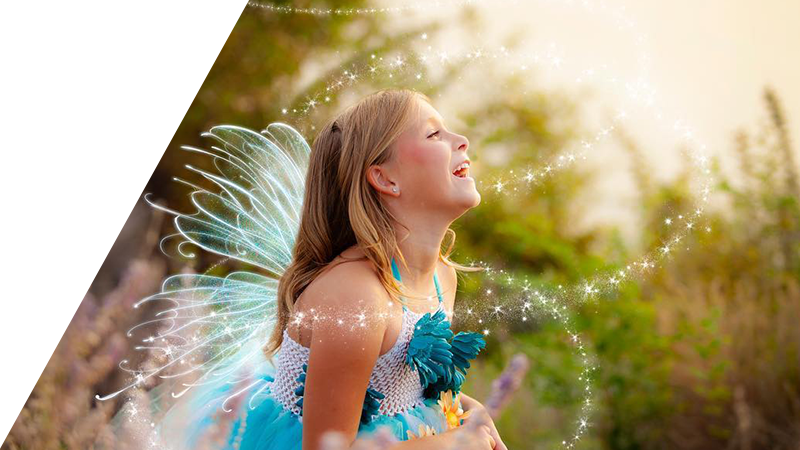 Contact Us - Fairy Clipart (800x450), Png Download