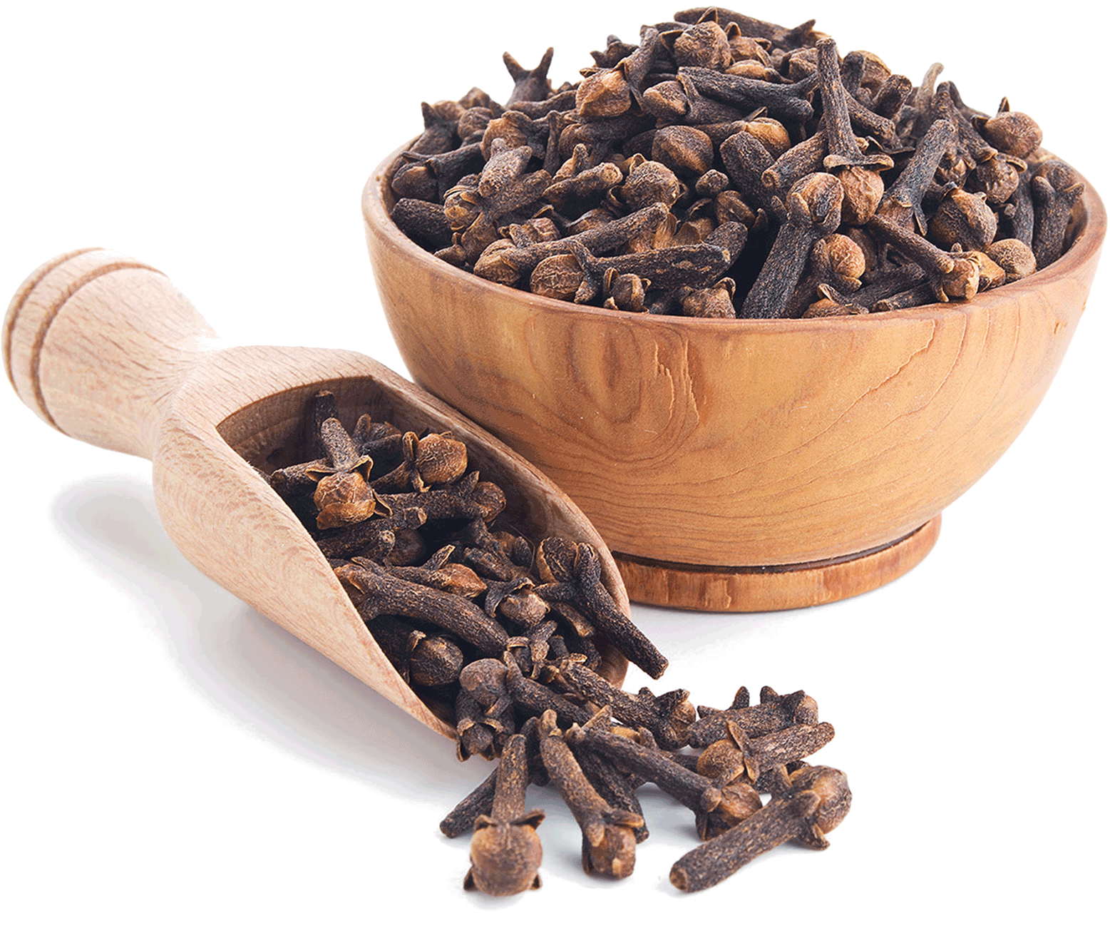 Clove Clove Whole Clipart Large Size Png Image PikPng