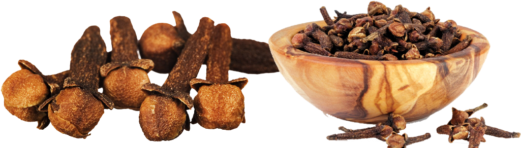 Cloves - लौंग Clipart (1024x300), Png Download