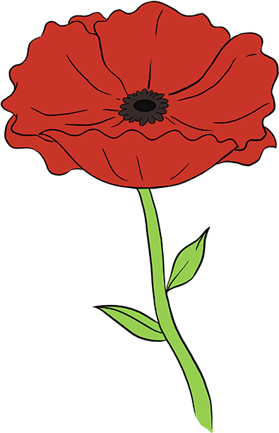 Stem Drawing Poppy Clipart (680x678), Png Download