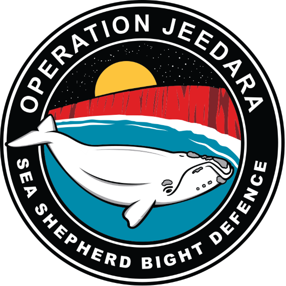 Clip Art - Png Download (559x558), Png Download