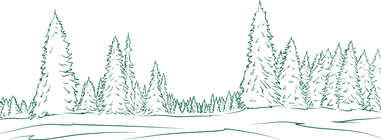 Evergreen Snow Capped Transparent & Png Clipart Free - Bosque De Pinos Dibujo (1251x461), Png Download