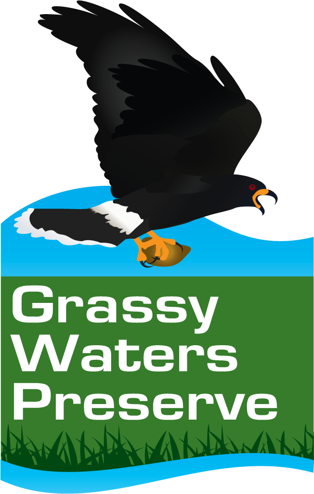 Cypress Boardwalk Trail - Grassy Waters Preserve Logo Clipart (646x1038), Png Download