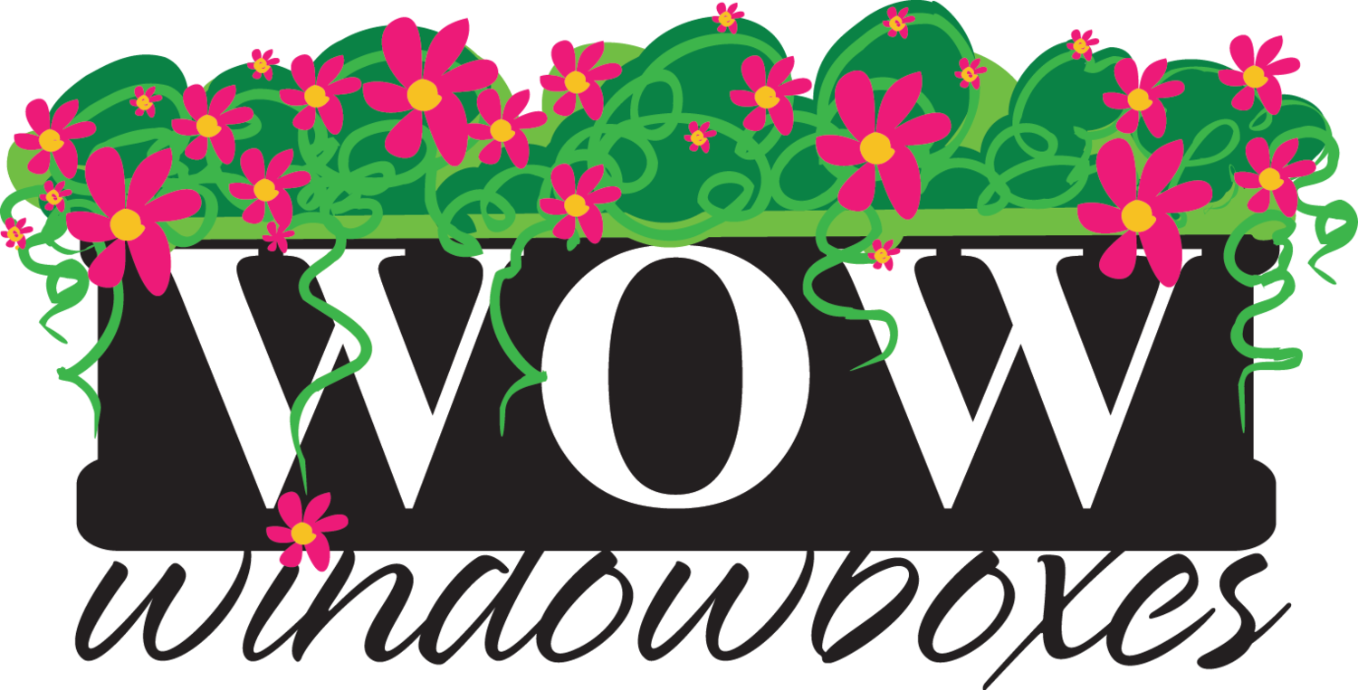 1500 X 763 1 - Illustration Clipart (1500x763), Png Download