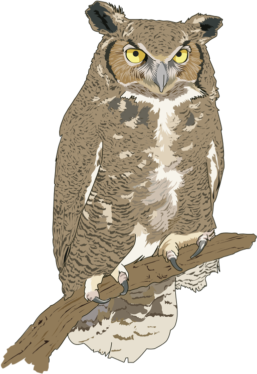 Cut Clipart - Realistic Owl Clip Art - Png Download (546x800), Png Download