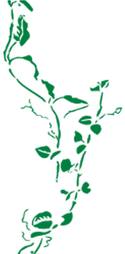 Green Vine Border Clip Art At Clkercom Vector Clip - Vine Border Transparent Background - Png Download (1368x855), Png Download