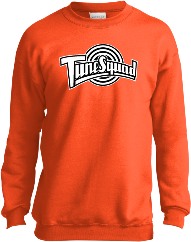 Tune Squad Black Youth Sweatshirt Sweatshirts - Houston Astros Hoodie Png Clipart (1024x1024), Png Download