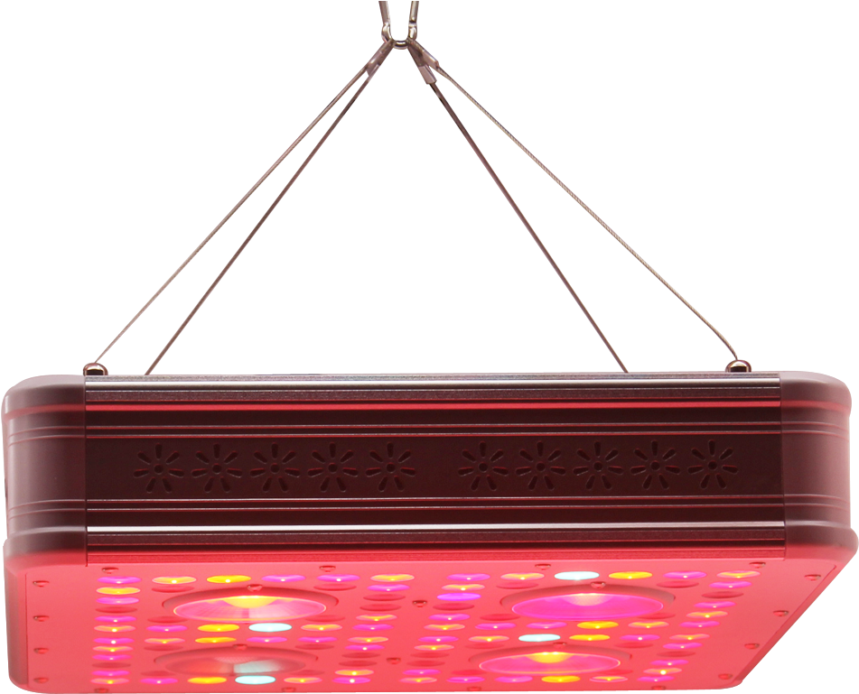 Ceiling Fixture Clipart (1000x1000), Png Download