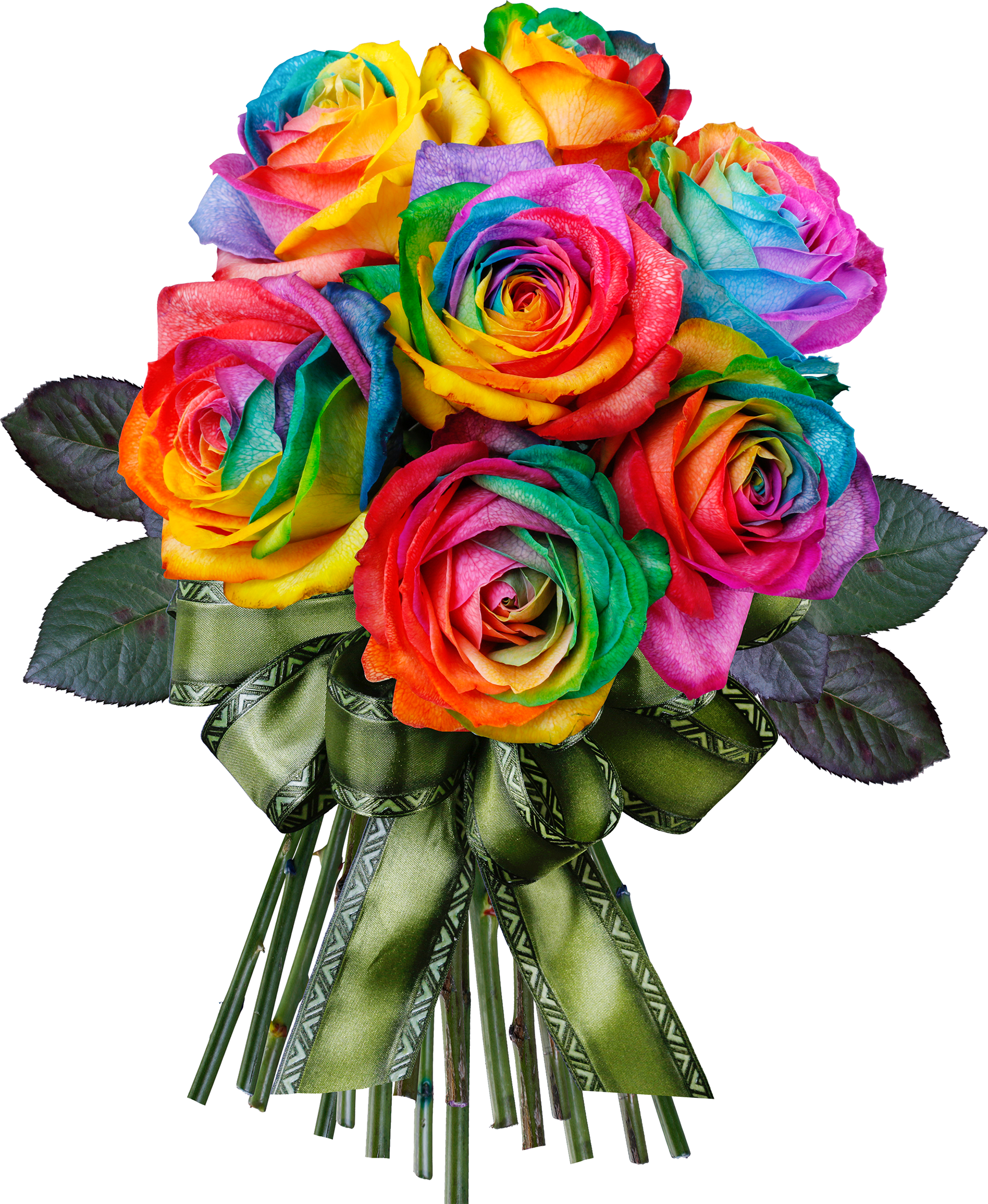 Rainbow Rose , Png Download - Transparent Rainbow Rose Png Clipart (1920x2339), Png Download
