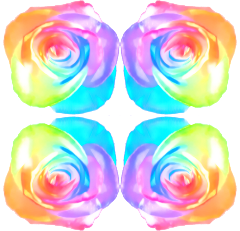 Garden Roses Clipart (800x772), Png Download