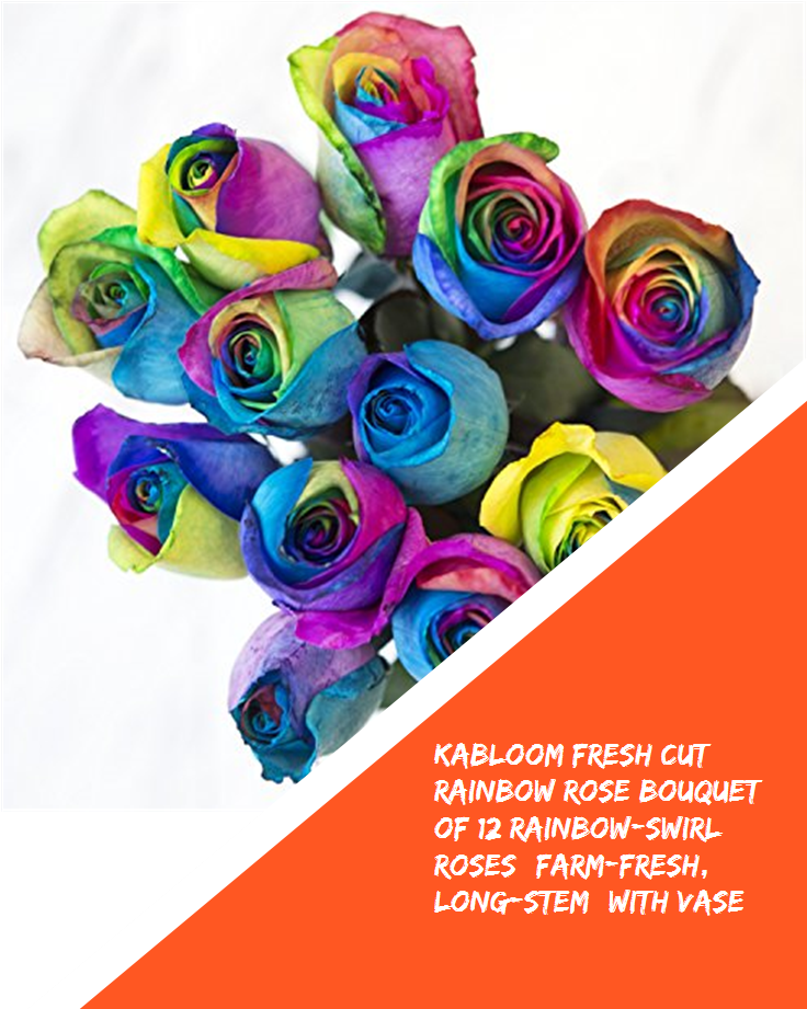 Kabloom Fresh Cut Rainbow Rose Bouquet Of 12 Rainbow - Rainbow Rose Clipart (735x1100), Png Download