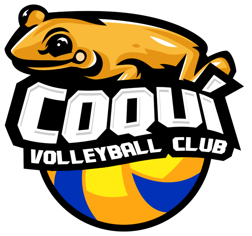 Clip Art - Png Download (1024x1024), Png Download